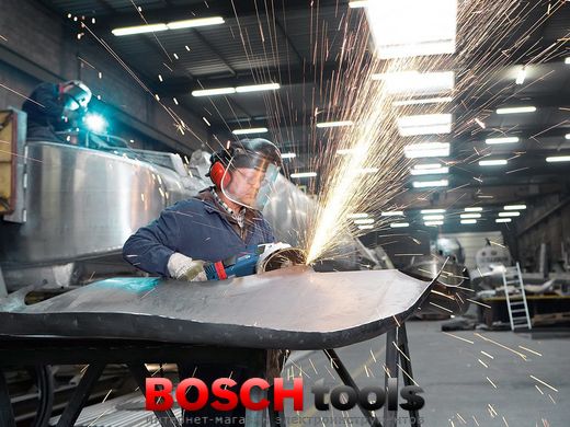Кутова шліфувальна машина Bosch GWS 24-230 LVI